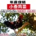 清仓特惠各种鸡苗小鸡批发包成活役苗开箱验货路损赔偿小鸡