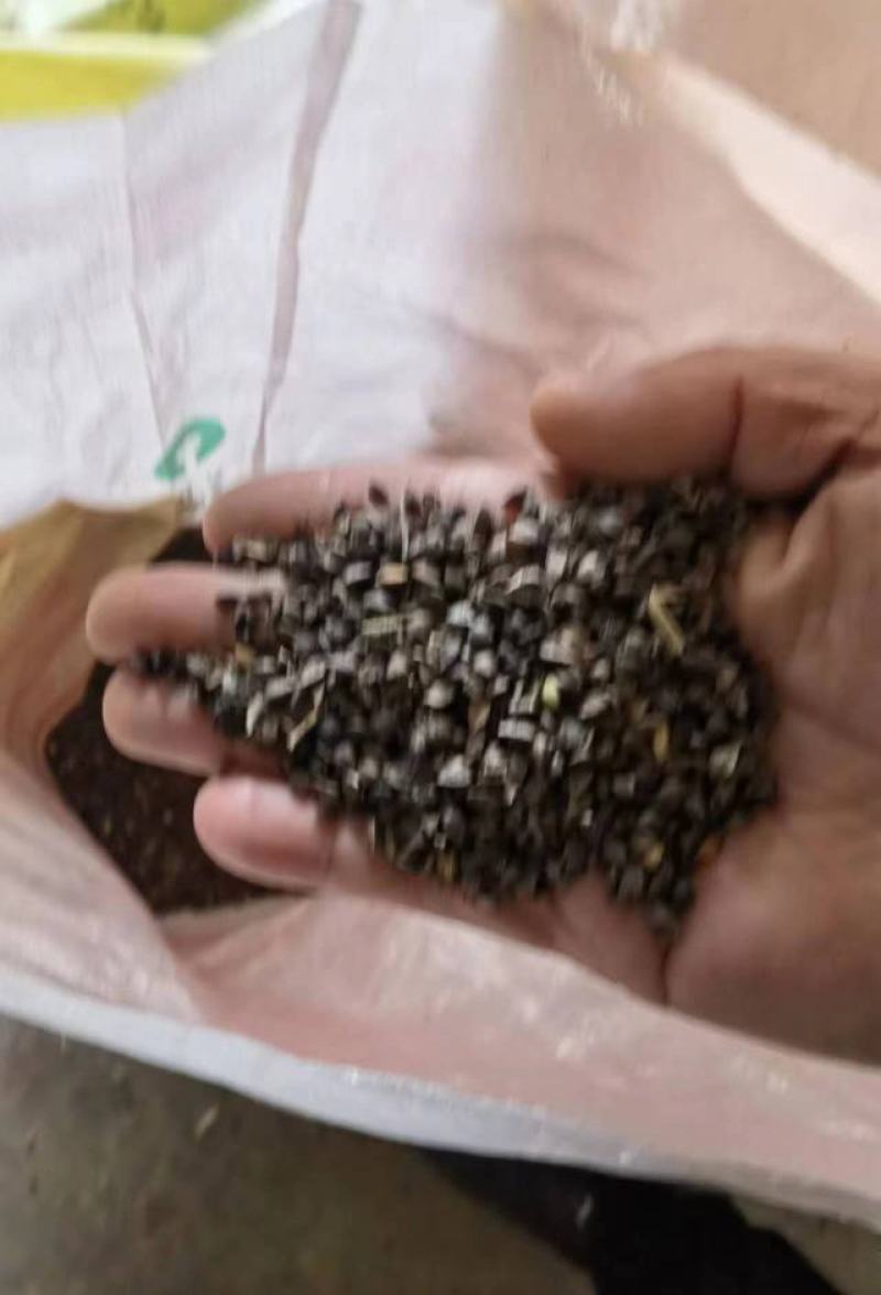 荞麦本地优质荞麦，自然晾干，口感好，量大从优欢迎来电咨询