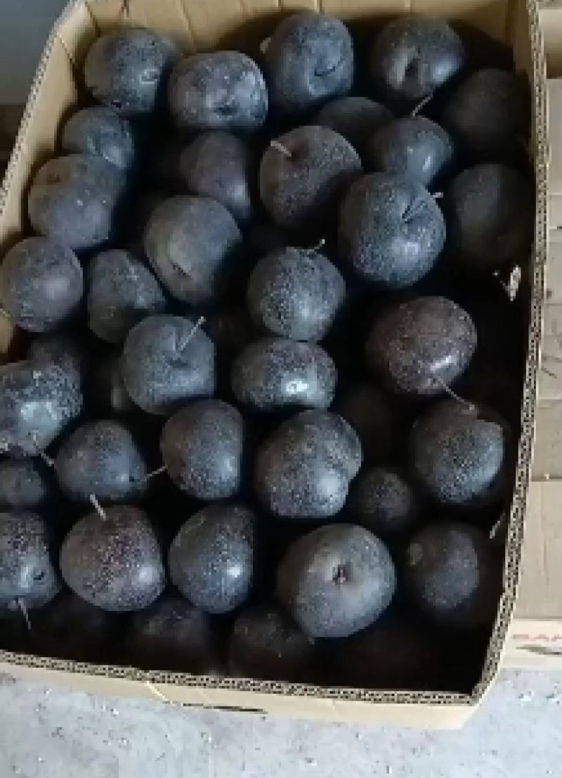 辽宁冻梨大量现货产地直发保质保量供应全国市场批发商