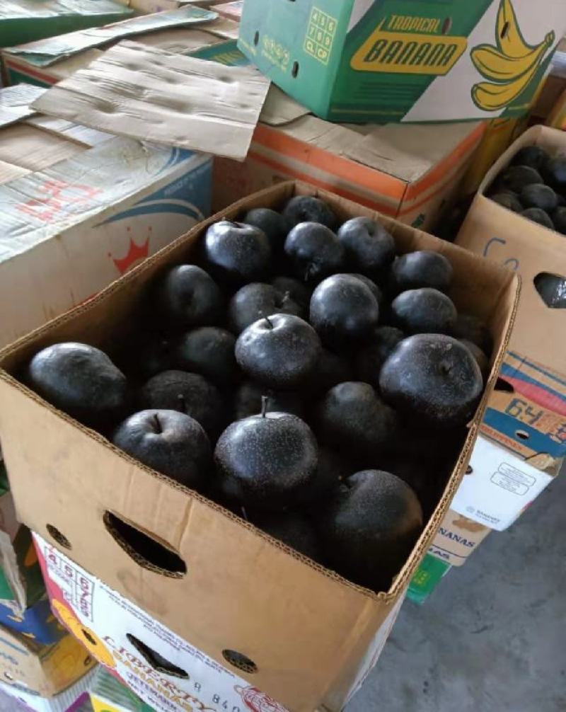 辽宁冻梨大量现货产地直发保质保量供应全国市场批发商