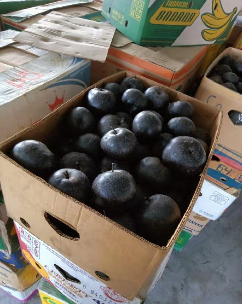 辽宁冻梨大量现货产地直发保质保量供应全国市场批发商