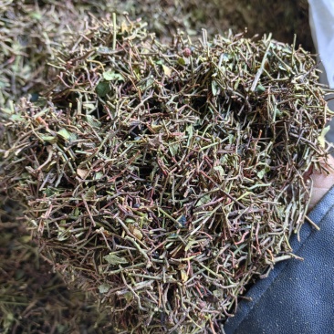 花椒杆/花椒把子/产地直发品质好需要的老板电话联系