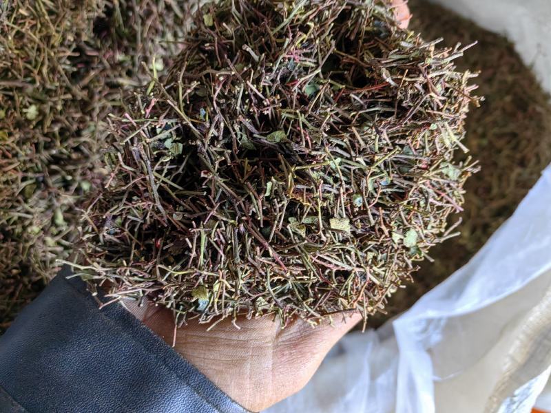 花椒杆/花椒把子/产地直发品质好需要的老板电话联系
