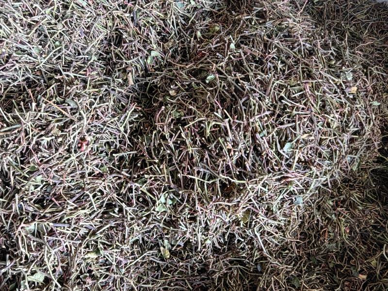 花椒杆/花椒把子/产地直发品质好需要的老板电话联系
