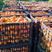 精品小火罐柿子大量有现货需要联系，产地供应，价格美丽可看