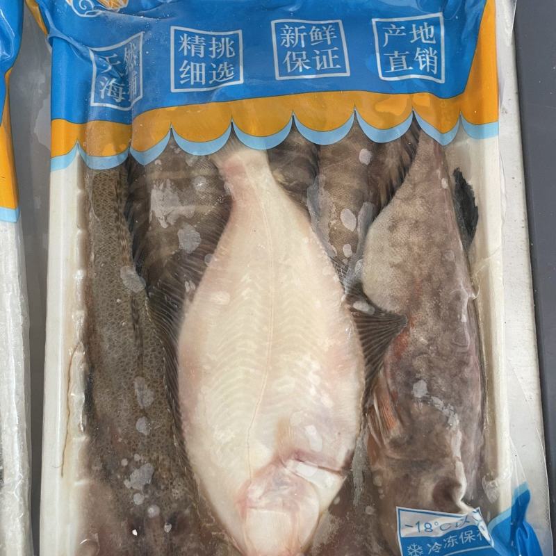海杂鱼批发