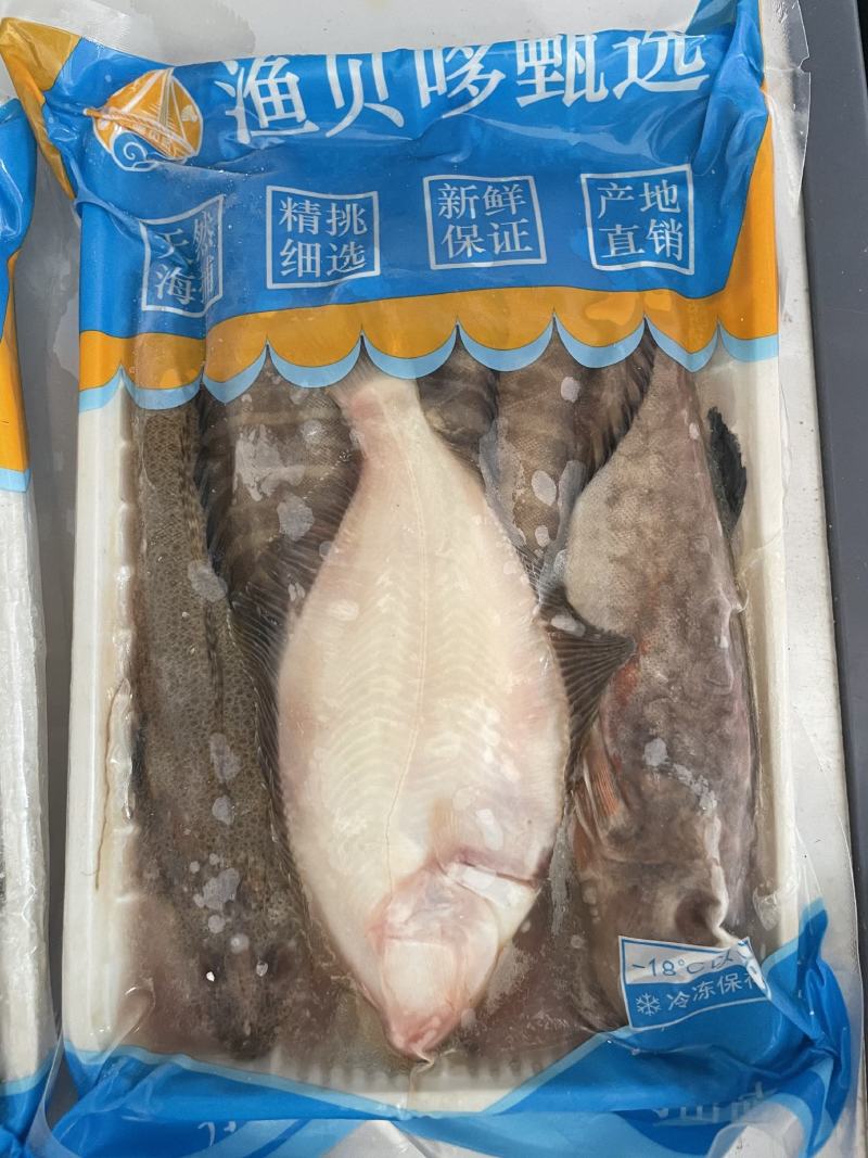 海杂鱼批发