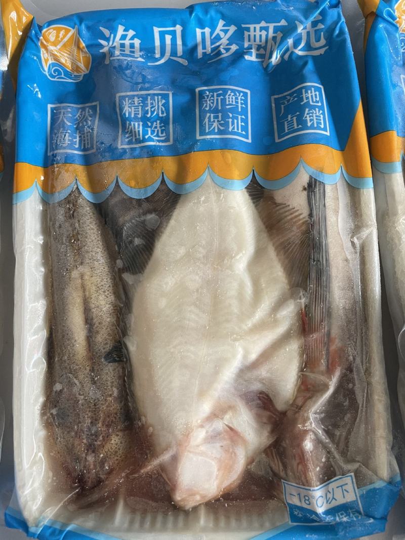 海杂鱼批发