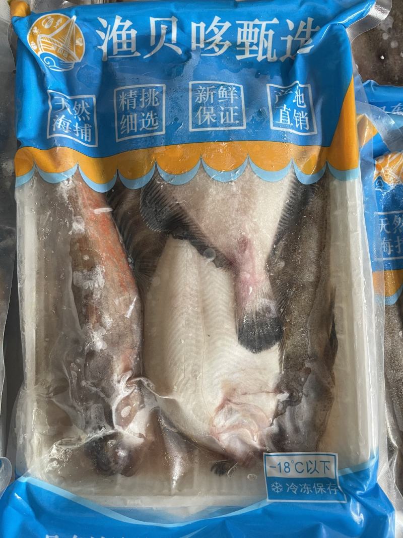 海杂鱼批发