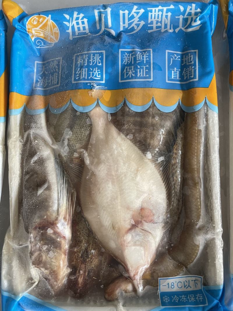 海杂鱼批发