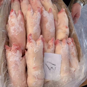 母猪蹄（带筋，前后混蹄）