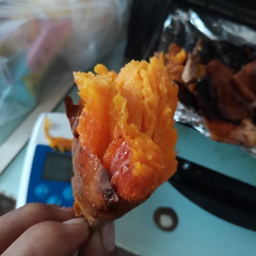 优质窖藏蜜薯