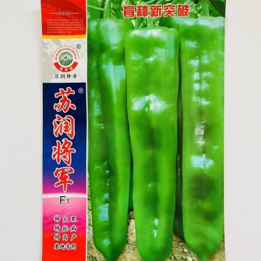 苏润将军辣椒种子早熟粗长大牛角椒皮薄微辣抗病性强高产大田