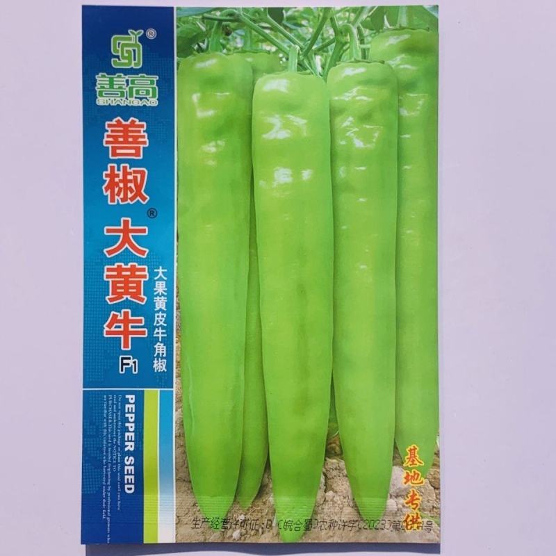善椒大黄牛长果型辣椒种子黄绿皮早中熟耐热耐运输高产牛角椒