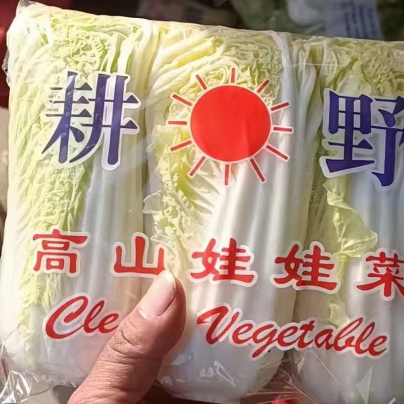 精品娃娃菜，小娃娃菜，毛菜，三颗装精包，电商货市场货