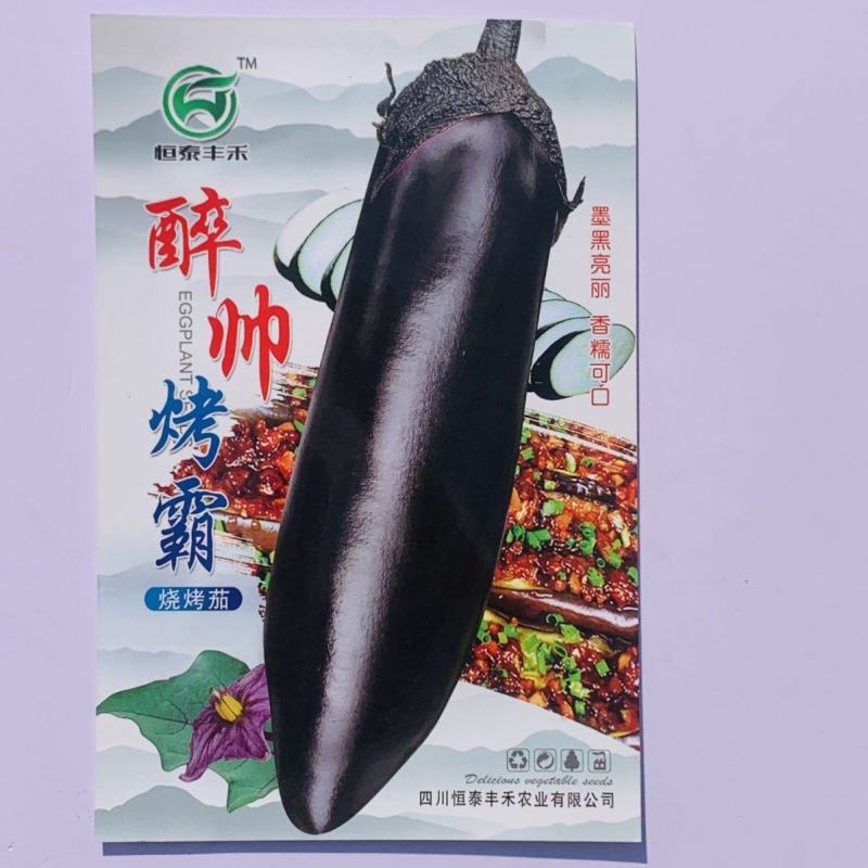 醉帅长茄烧烤茄籽早中熟紫黑发亮短粗棒型真糯茄子大田蔬菜基