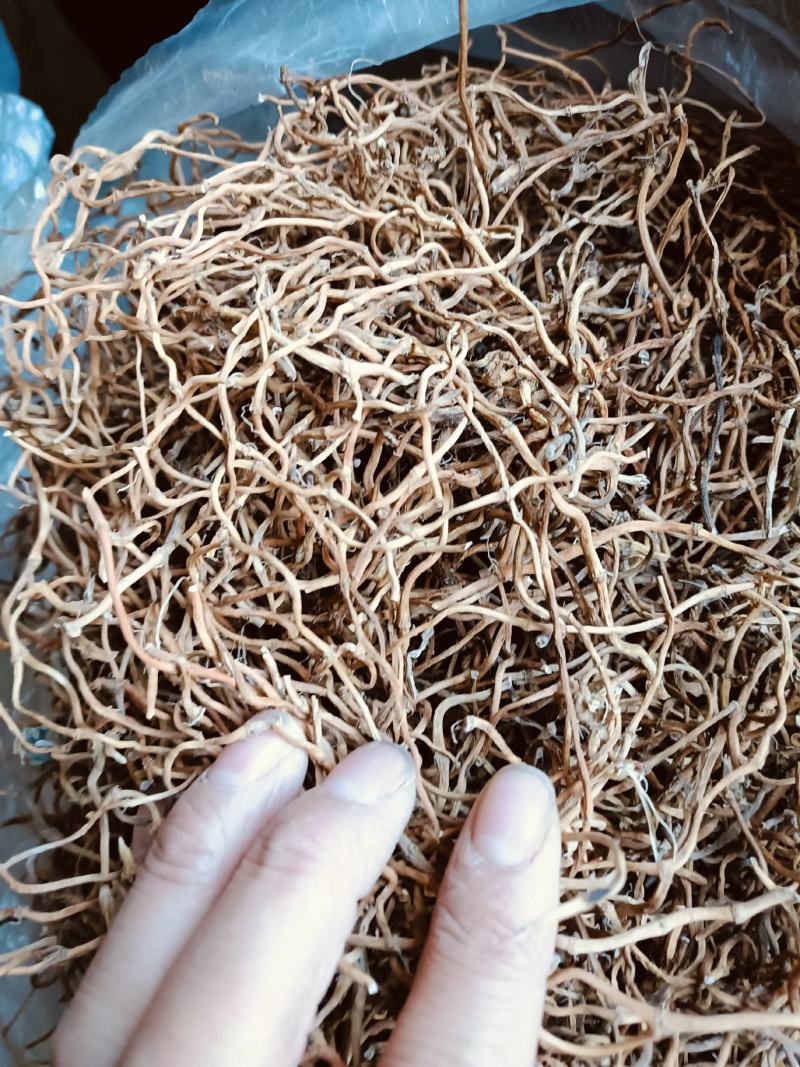中药材鱼腥草根鱼腥草干根，折耳根农家自晒质量保证！