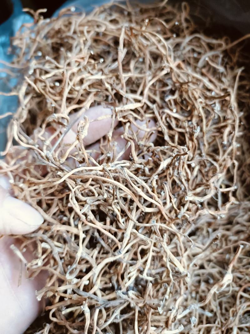 中药材鱼腥草根鱼腥草干根，折耳根农家自晒质量保证！