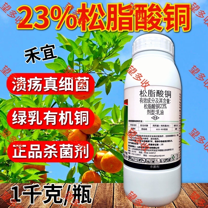 23%松脂酸铜细菌病害突出真菌有机