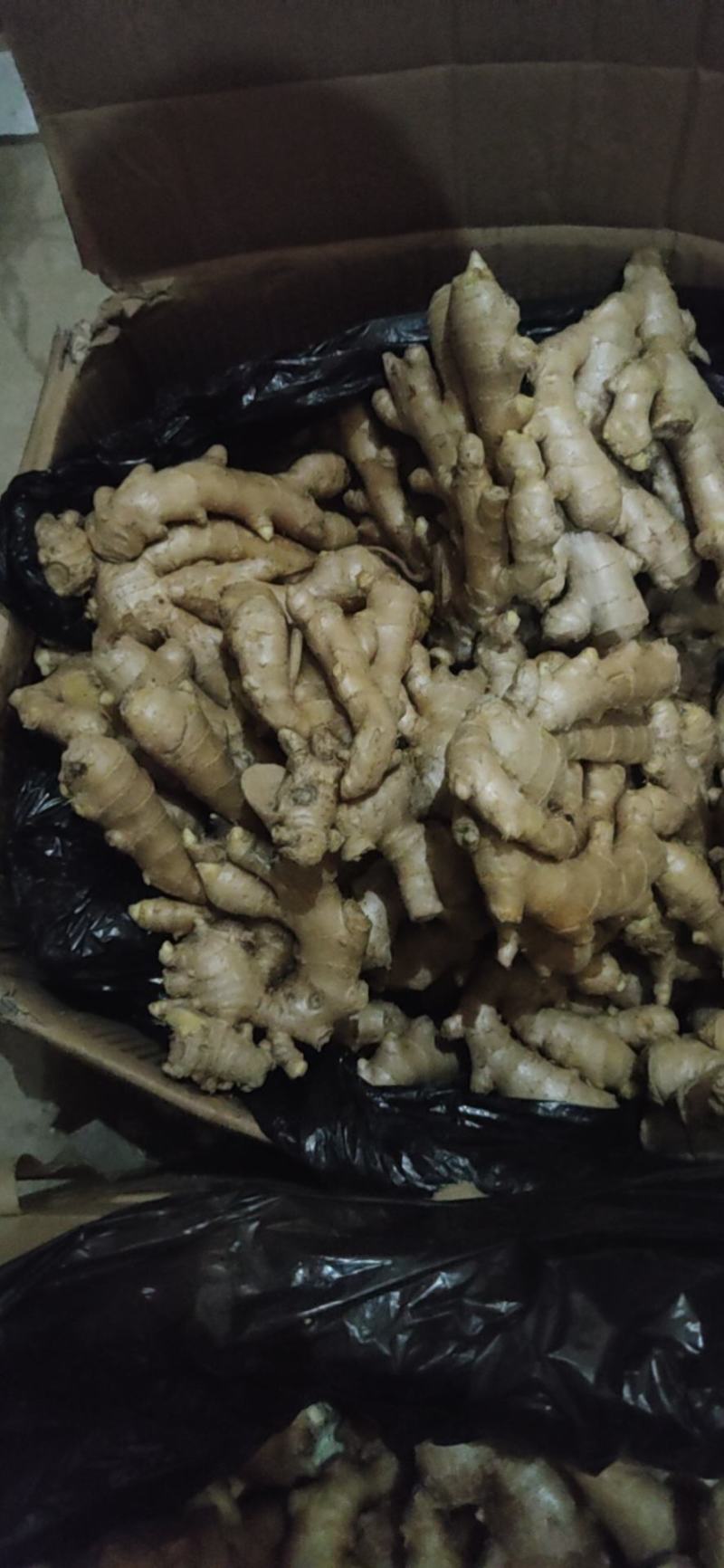 小黄姜，仔姜，山东窖藏小黄姜，全国物流发货