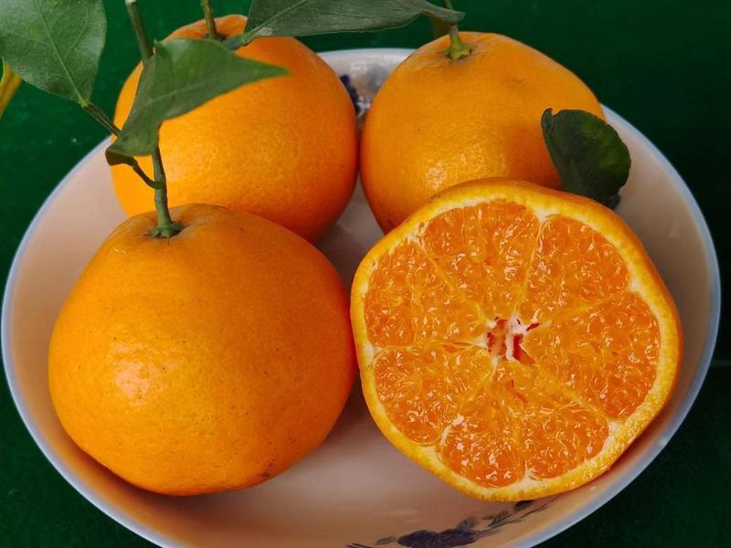 【推荐】精品爱媛橙果冻橙四川产地直供皮薄汁多货发全国