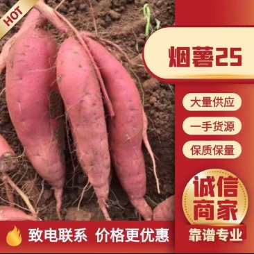 精品烟薯日照红薯现挖现发货源充足价格低品质好