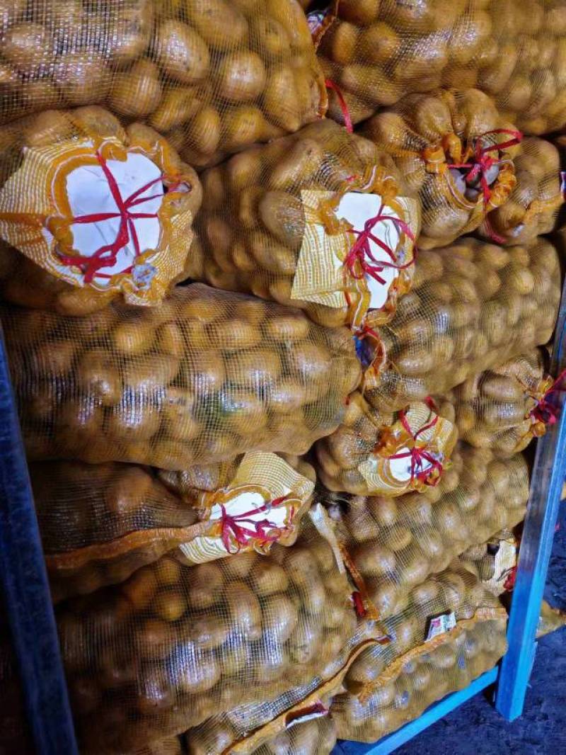 土豆河北精品土豆库存充足欢迎老板选购