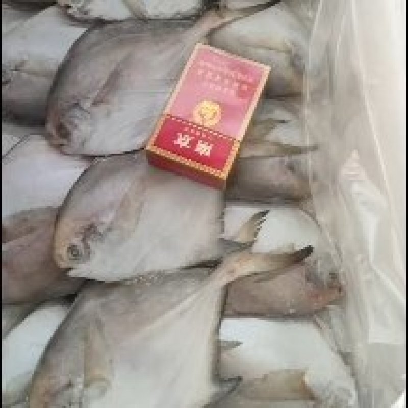 鲳鱼银鲳鱼4斤装今年新鱼货源稳定量大从优