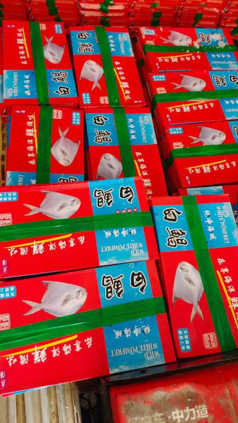 鲳鱼银鲳鱼4斤装今年新鱼货源稳定量大从优