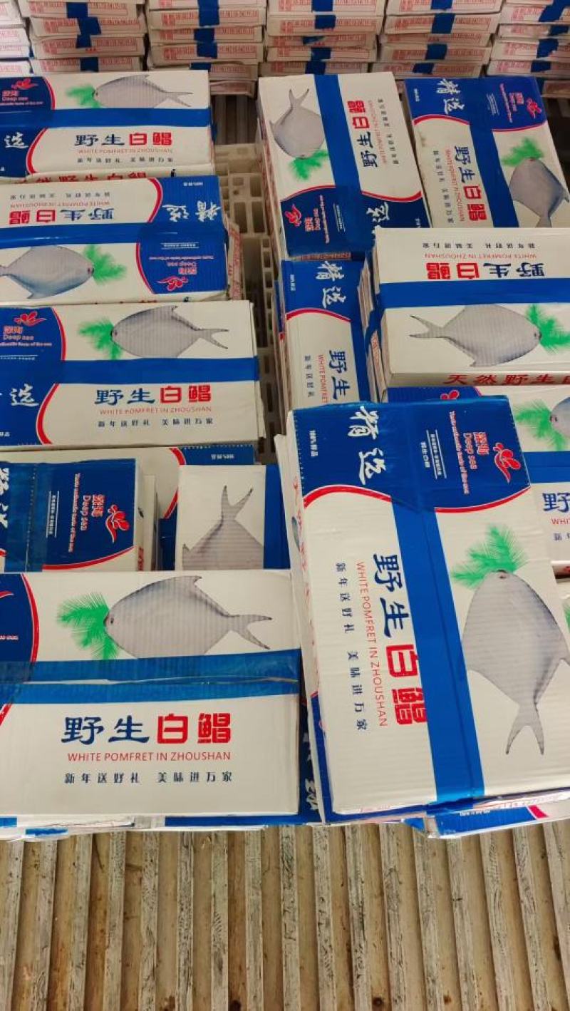 鲳鱼银鲳鱼4斤装今年新鱼货源稳定量大从优