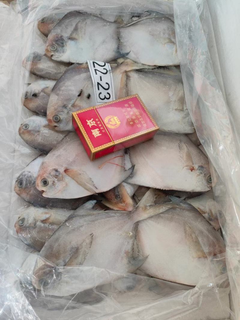 鲳鱼银鲳鱼4斤装今年新鱼货源稳定量大从优