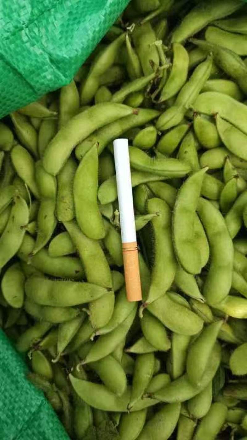 大青豆，
