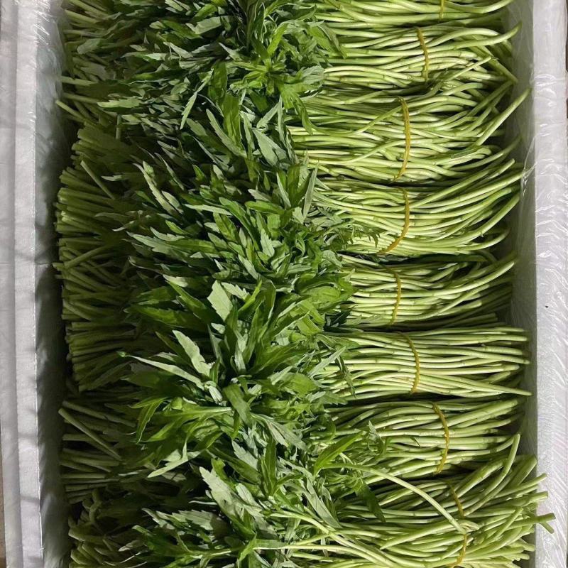 芦蒿毛货