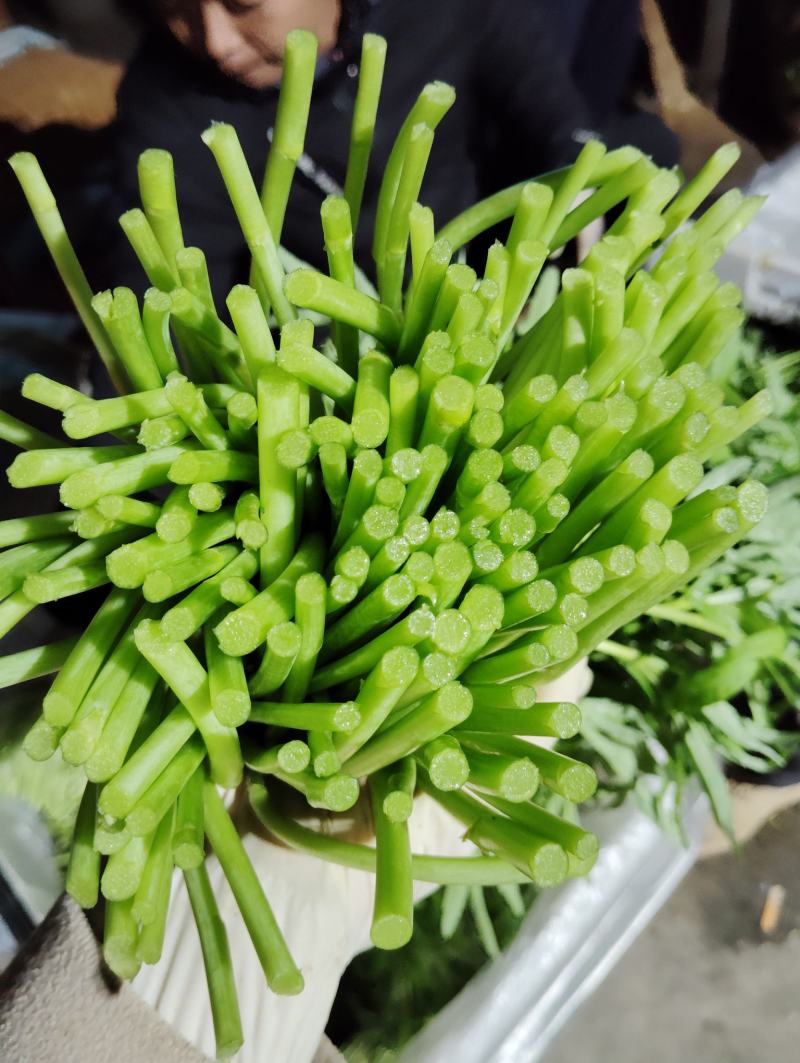 芦蒿毛货