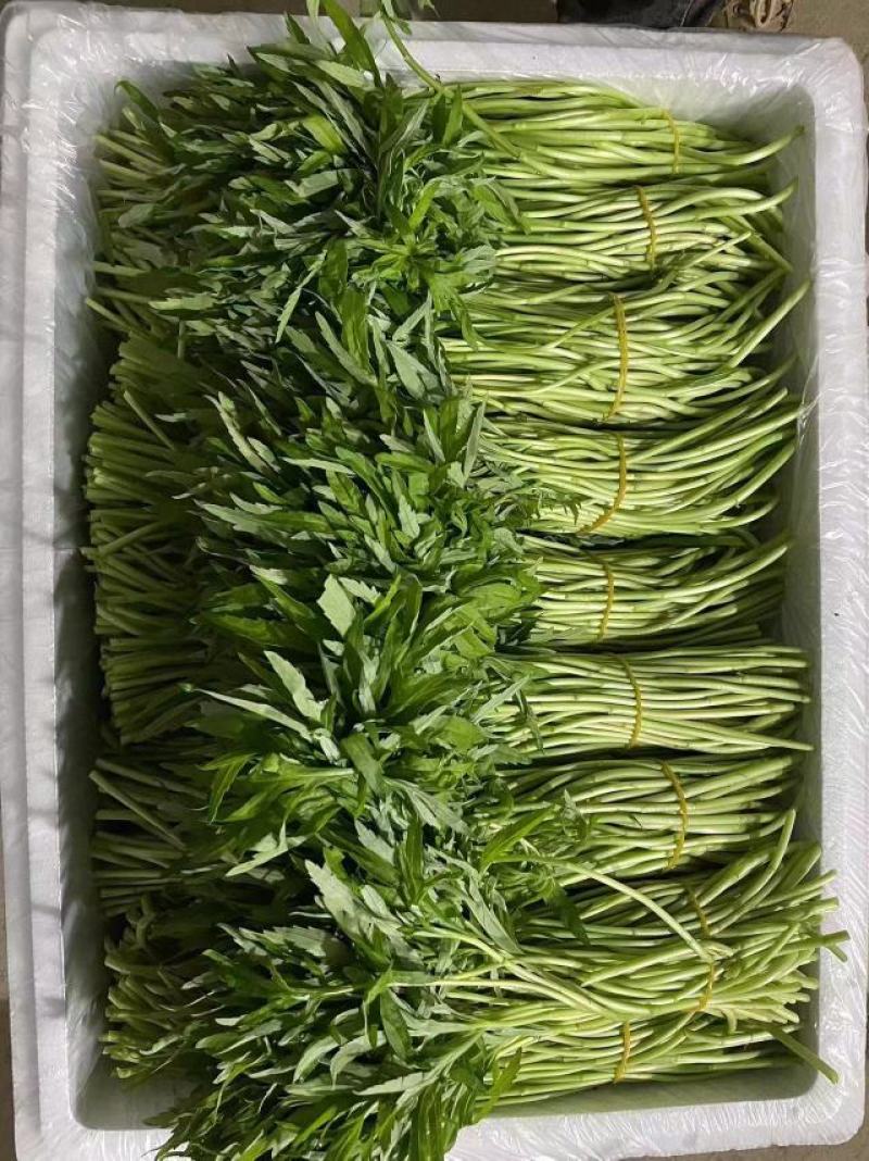 芦蒿毛货