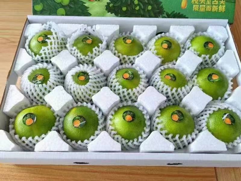 琼中绿橙
