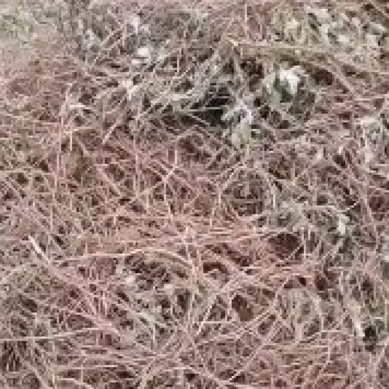艾根