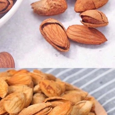 精品巴旦木大量批发