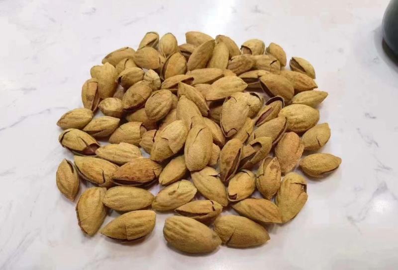 精品巴旦木大量批发