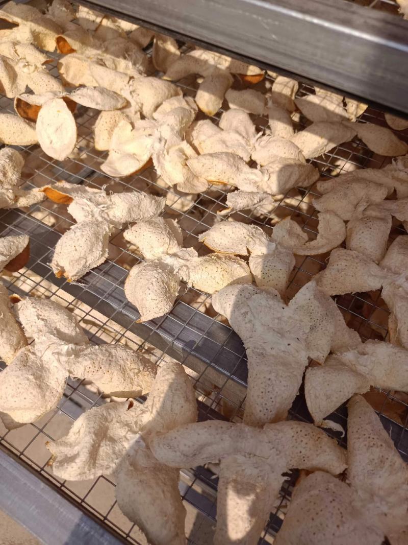 新会二红皮大红皮茶枝柑陈皮各个等级种类都有干净无杂油性足