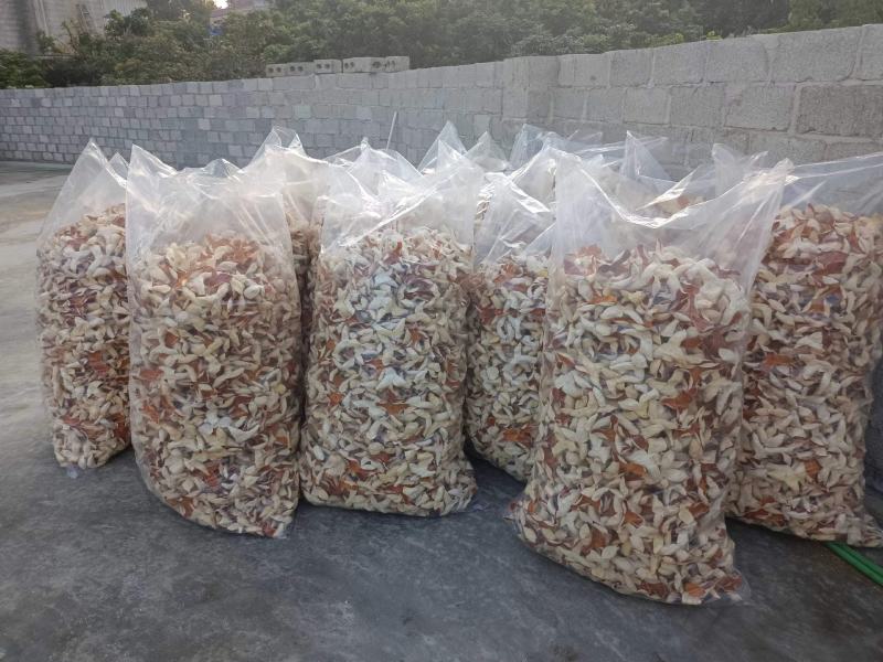 新会二红皮大红皮茶枝柑陈皮各个等级种类都有干净无杂油性足