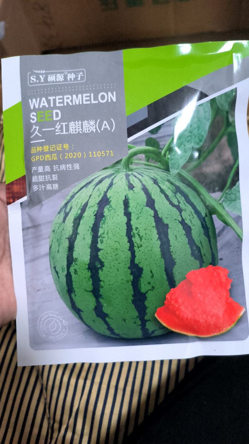美都西瓜种子麒麟西瓜种大红瓤西瓜种子产量高西瓜种子