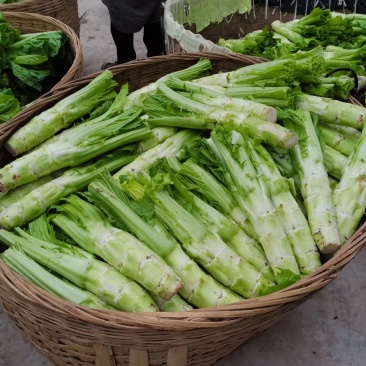 四川青菜棒棒青菜