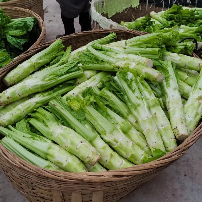 四川青菜棒棒青菜