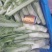 四川青菜棒棒青菜