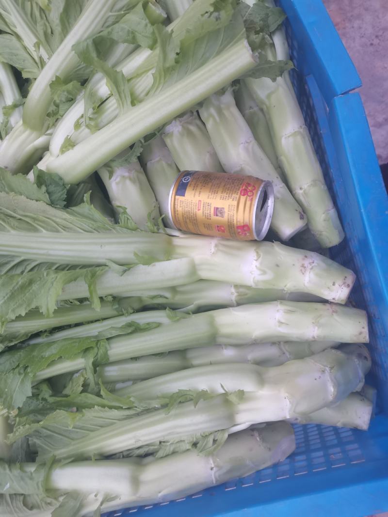四川青菜棒棒青菜