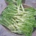 四川青菜棒棒青菜