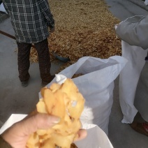 黄精黄精片