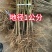 河南正宗黑布林李子苗黑宝石苗木钻木嫁接成品苗源头发
