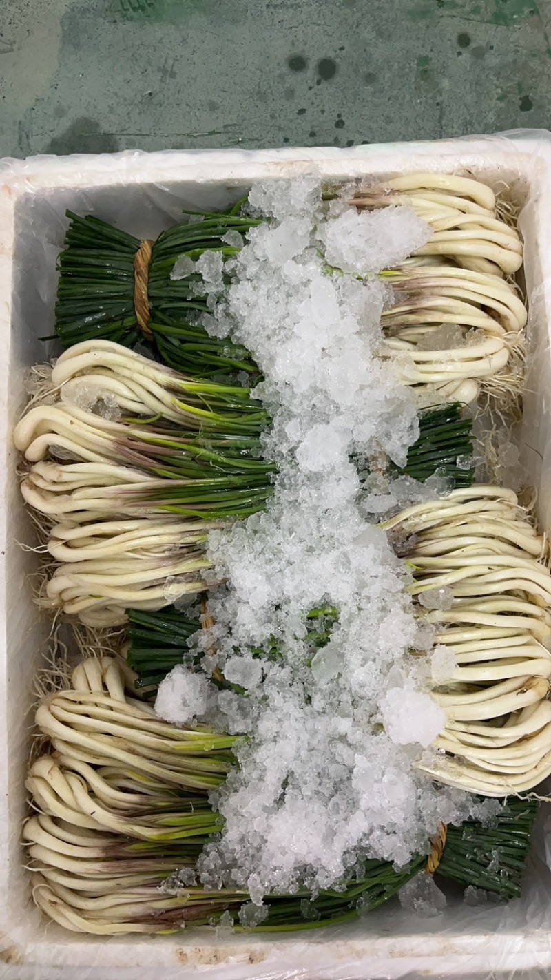 湖南精品藠头